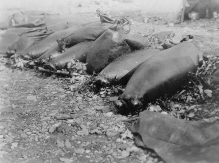 Food containers, Pokes-Kotzebue, c1929. Creator: Edward Sheriff Curtis.