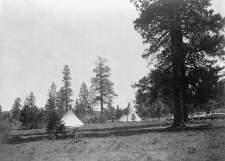 A mountain camp-Yakima, c1910. Creator: Edward Sheriff Curtis.