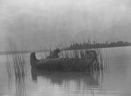 The rush gatherer-Kutenai [A], c1910. Creator: Edward Sheriff Curtis.