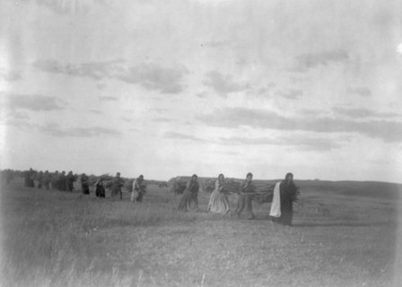 The brush-gatherers-Arikara, c1908. Creator: Edward Sheriff Curtis.