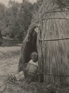 Construction of a tule shelter-lake Pomo, 1924. Creator: Edward Sheriff Curtis.