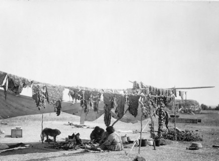 In camp, 1908, c1908. Creator: Edward Sheriff Curtis.