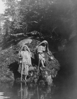 Gathering seaweed-Clayoquot, c1910. Creator: Edward Sheriff Curtis.