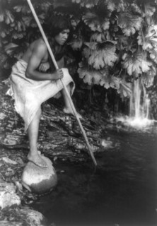 Spearing salmon, c1923. Creator: Edward Sheriff Curtis.