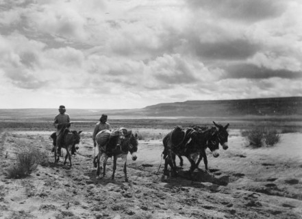 Burros and Moki men on the road, c1900. Creator: Edward Sheriff Curtis.