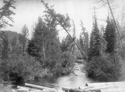 Udungui trade route: Udunga River, end of 19th century. Creator: Nikolai Apollonovich Charushin.