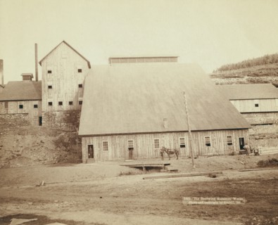The Deadwood Reduction Works, 1890. Creator: John C. H. Grabill.