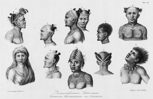 Nukagiva Natives, 1813. Creator: Ignaz Sebastian Klauber.