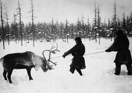 They Caught a Reindeer, 1890. Creator: Unknown.