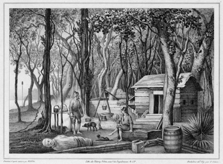 Dwelling of Two Shipwrecked Europeans in Port Lloyd of Peel Island, Bonin Islands, 19th century. Creators: Friedrich Heinrich Kittlitz, Victor Adam, Louis-Pierre-Alphonse Bichebois, Godefroy Engelmann...