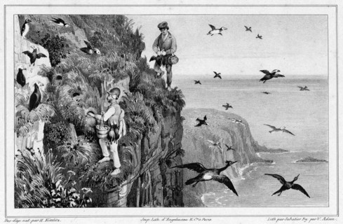 Kamchatka, Hunting Puffins, 19th century. Creators: Friedrich Heinrich Kittlitz, Victor Adam, Godefroy Engelmann, Leon Jean-Baptiste Sabatier.