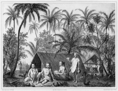 Dwellings, Lower Caroline Islands, 19th century. Creators: Alexander Postels, Victor Adam.