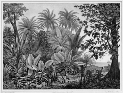 View of Lukunor Island, Lower Caroline Islands, 19th century. Creators: Alexander Postels, Godefroy Engelmann, Emile-Charles Wattier.