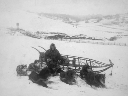 Dog team carrying mail, between c1900 and 1923. Creator: Unknown.