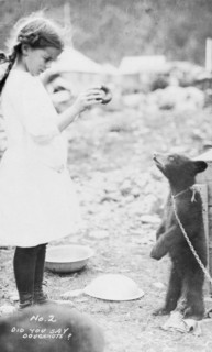 Girl and bear cub, between c1900 and 1916. Creator: Unknown.