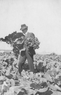 Frank G. Carpenter on Mr. Rickert's farm, between c1900 and 1916. Creator: Unknown.