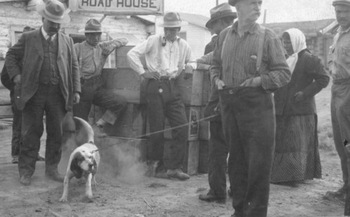 In front of Haly's Road House, Jim Haly holds a dog, between c1900 and 1916. Creator: Unknown.