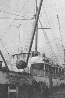 Loading copper on ship, between c1900 and 1916. Creator: Unknown.