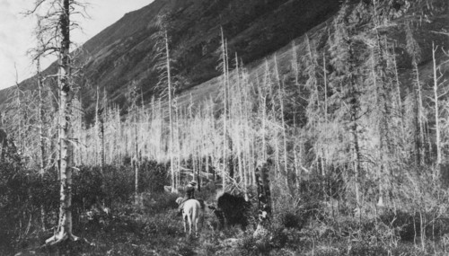 Trail to Sunrise, between c1900 and 1916. Creator: Unknown.