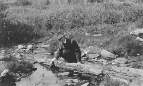 Frank G. Carpenter, between c1900 and 1916. Creator: Unknown.