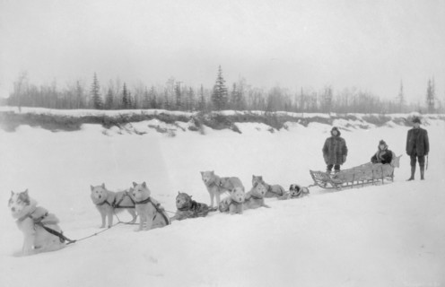 Dog sled team, between c1900 and 1927. Creator: Unknown.