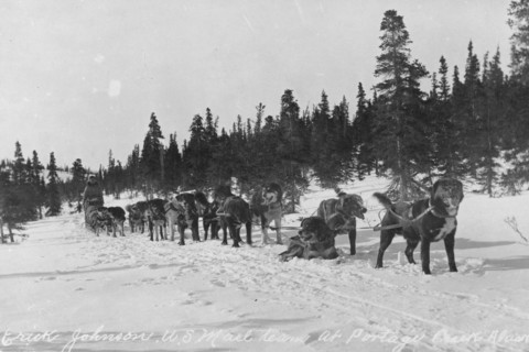 Erick Johnson with U.S. mail team, between c1900 and 1927. Creator: Unknown.