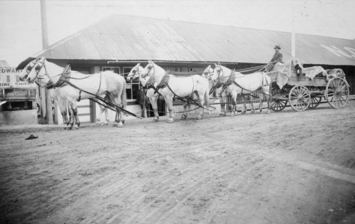 Horse team starting on trail to Chitina, between c1900 and 1927. Creator: Unknown.