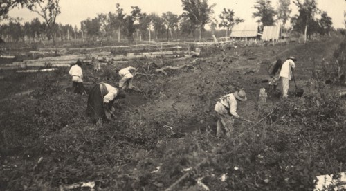 View of the road construction near the village of Practichi, 1909. Creator: Vladimir Ivanovich Fedorov.