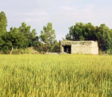 Adobe building in a grassy field, trees in background, between 1905 and 1915. Creator: Sergey Mikhaylovich Prokudin-Gorsky.