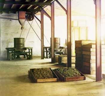 Tea factory in Chakva; tubs and baskets with fragrant tea, between 1905 and 1915. Creator: Sergey Mikhaylovich Prokudin-Gorsky.