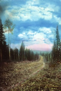The Roadbed After Planning. Petropavlovsk Branch, 1906-1908. Creator: Dorozhno-Stroitel'nyi Otdel.