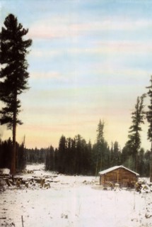 Wood Storage Barn. Zimov'evsko-Meshchaninovskaia Railroad, 1906-1908. Creator: Dorozhno-Stroitel'nyi Otdel.
