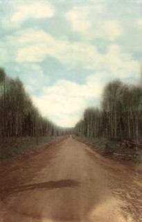 The final compacted road surface. Zimovyevsko-Meshchaninovskaya road, 1906-1908. Creator: Dorozhno-Stroitel'nyi Otdel.