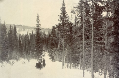 On the Biisk Line Between the Settlements of Kliuchi and Andreevsk: View on the Biisk Link..., 1909. Creator: Nikolai Georgievich Katanaev.