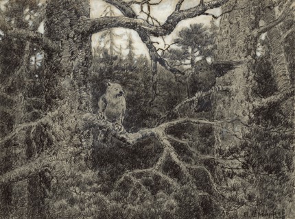 Morning Daybreak in the Wilds of Krasnoyarsk Taiga, 1904. Creator: Boris Vasilievich Smirnov.