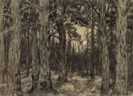 Deep in the Woods of the Krasnoyarsk Taiga, 1904. Creator: Boris Vasilievich Smirnov.
