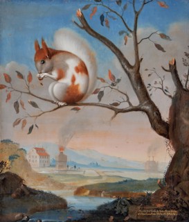 Spotted squirrel at Hogbo mill, 1734. Creator: J.A. Weise.