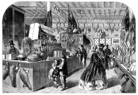 The International Exhibition - View in the Natal Court, 1862. Creator: Mason Jackson.