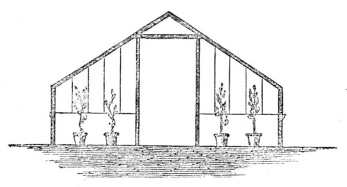 The International Exhibition: section of River's short-span glass orchard, 1862. Creator: Unknown.