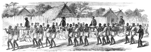 Procession of the British Envoys to Madagascar from the seashore to the Fort of Tamatave..., 1862. Creator: Unknown.