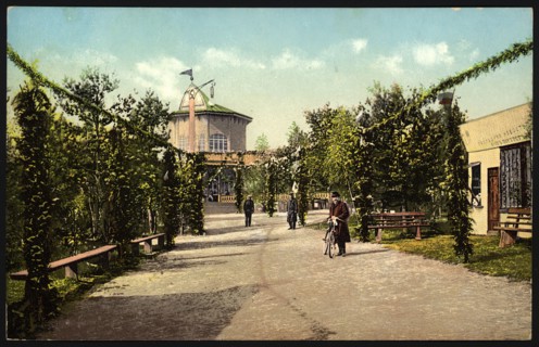 Irkutsk Country garden. "The Tsar's Maiden", 1904-1914. Creator: Unknown.