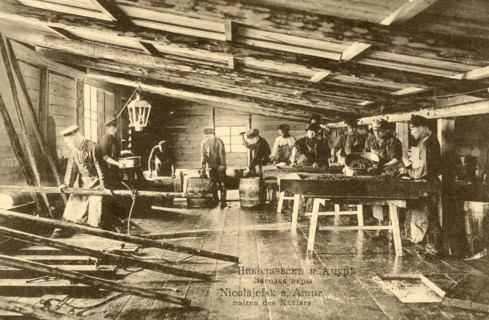Nikolaevsk-on-Amur. Salting caviar, 1900. Creator: Unknown.