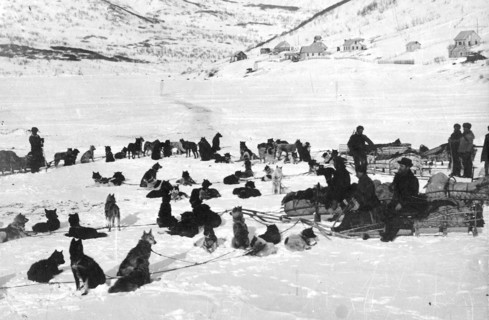 Loaded dog sleds on Petropavlovsk-Kamchatsky Square, 1910-1929. Creator: Ivan Emelianovich Larin.