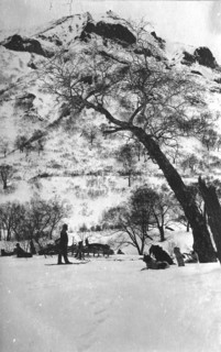 Dog sleds against the backdrop of the Kamchatka landscape, 1910-1929. Creator: Ivan Emelianovich Larin.
