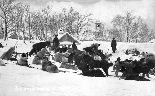 Petropavlovsk-Kamchatsky in winter; dog sleds against the backdrop of the Peter and Paul..., 1910-19 Creator: Ivan Emelianovich Larin.