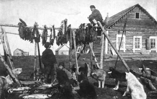 A log house covered with bark. Near the house there was a fish drying facility, 1910-1929. Creator: Ivan Emelianovich Larin.