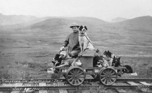 Man and dogs on rail cart trip from Shelton to Nome, 1912. Creator: Unknown.