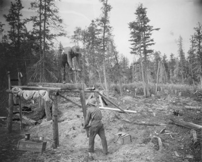 Sawing a log, 1916. Creator: Unknown.