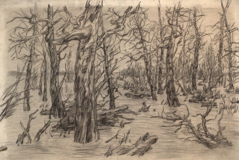 River Vakh, 1928. Creator: Dmitrii Innokent'evich Karatanov.