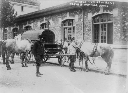 Horses for 59th Regt. requisitioned near Paris, 14 Aug 1914. Creator: Bain News Service.